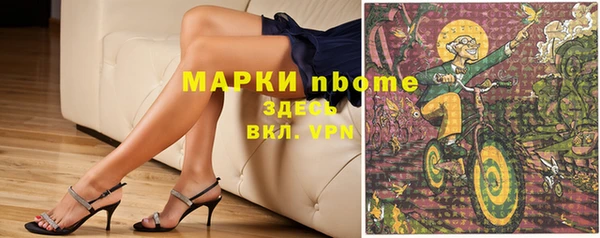 соль ск Гусиноозёрск