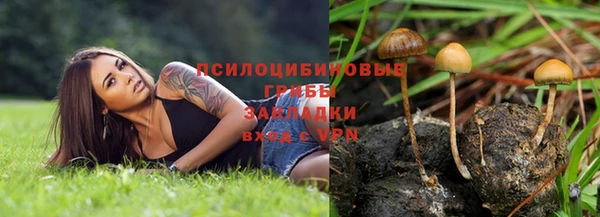 MDMA Дмитровск